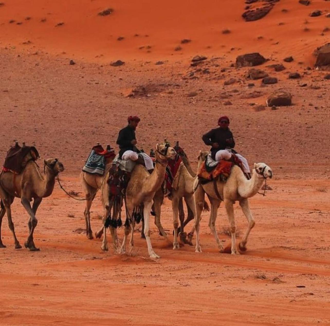 瓦迪拉姆 Bedouin Bunch Camp酒店 外观 照片