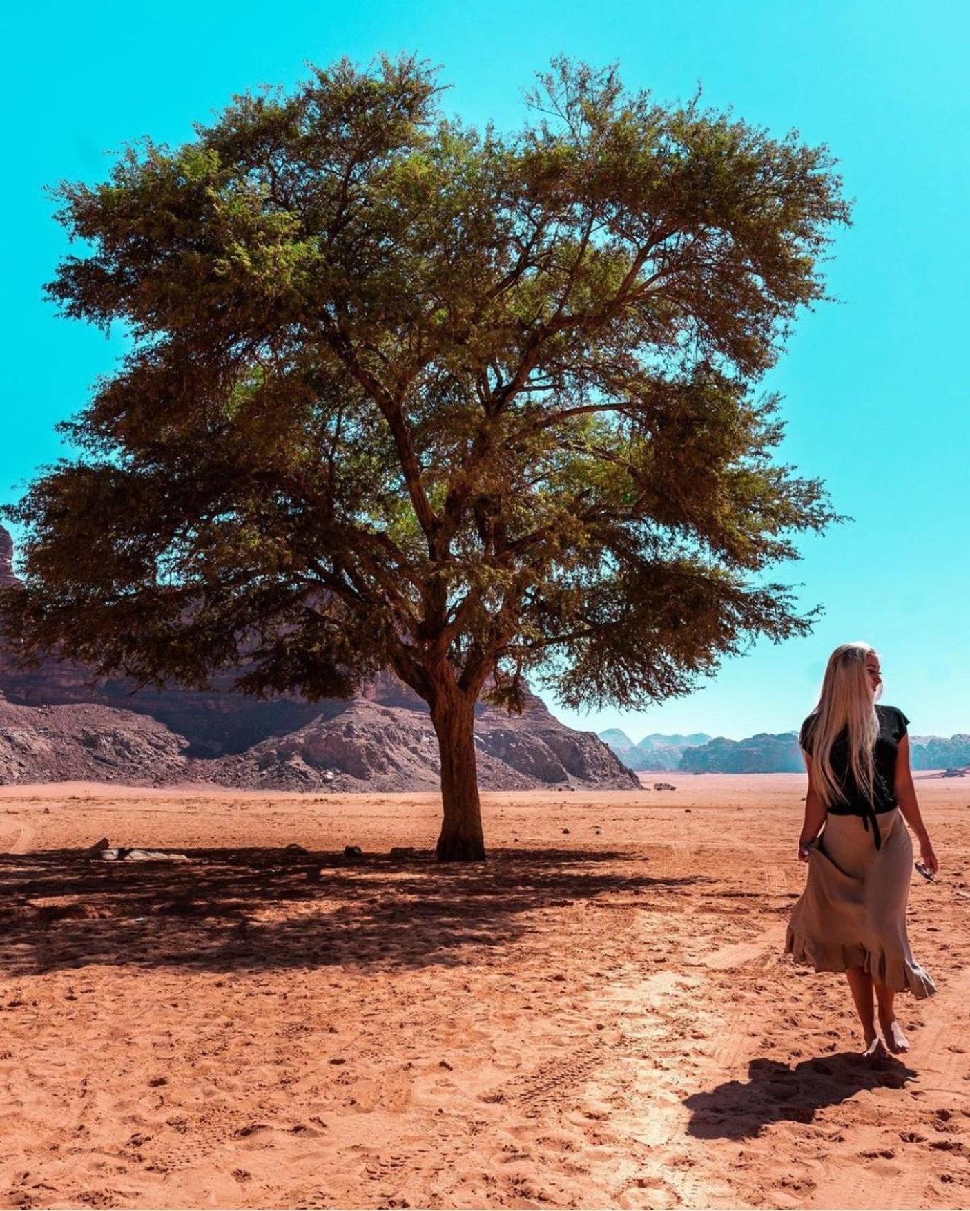 瓦迪拉姆 Bedouin Bunch Camp酒店 外观 照片