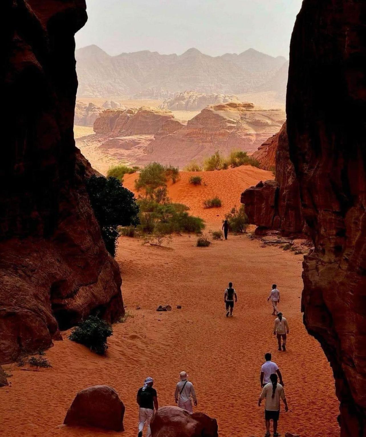 瓦迪拉姆 Bedouin Bunch Camp酒店 外观 照片